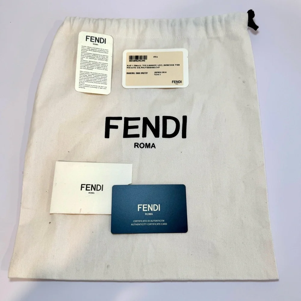 Fendi Kan I Small Shoulder Bag In Neutral Grey Leather W Silver Chain Strap